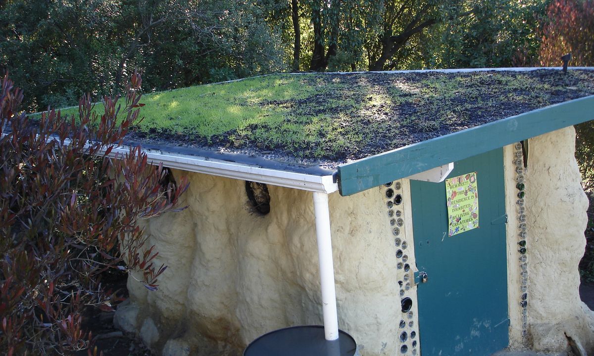 Green Roof on Northland Hundertwasser Toilets