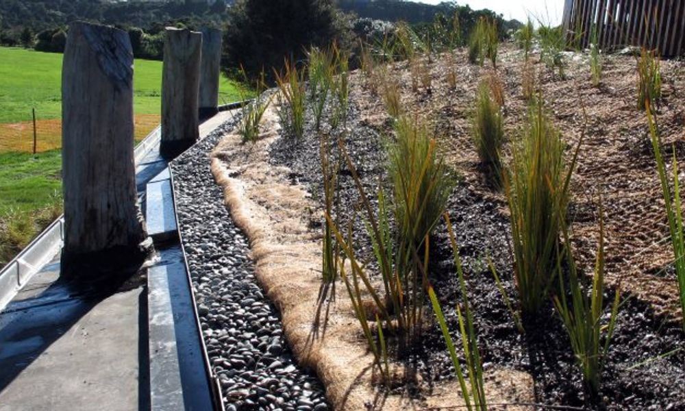 Green roof using shrubs at North Island winery